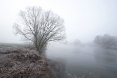 Siegwintermist60x90web