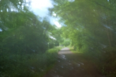 sommerpfad